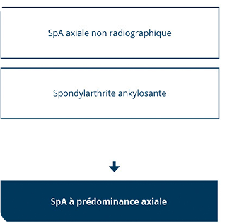 CONCEPT_AXIALE CONCEPT_AXIALE