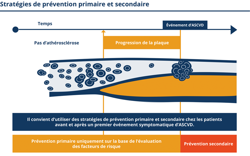 Stratégies de prévention primaire et secondaire Stratégies de prévention primaire et secondaire
