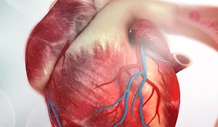 SSC/SSCS ANNUAL MEETING 2024