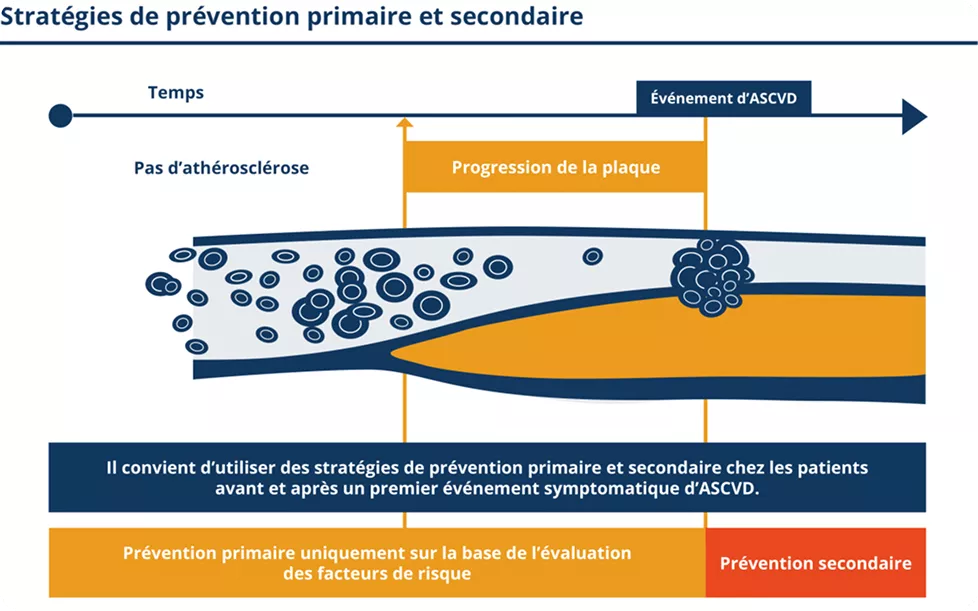 Stratégies de prévention primaire et secondaire