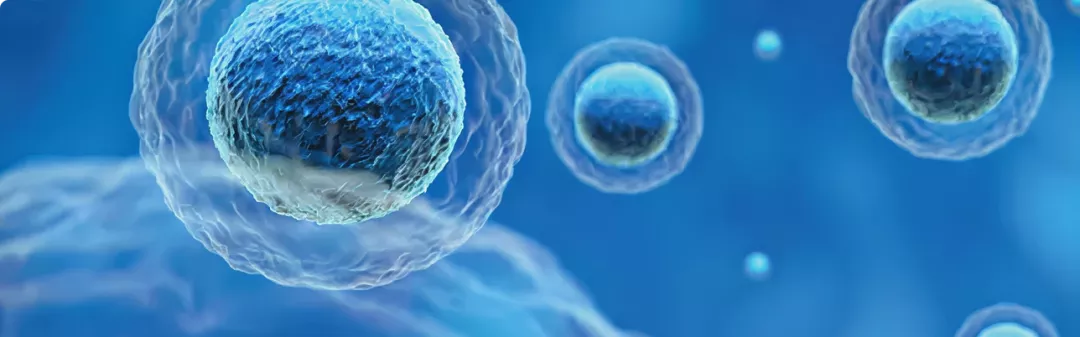 NVS-CH_HEMATO_CML_TILE