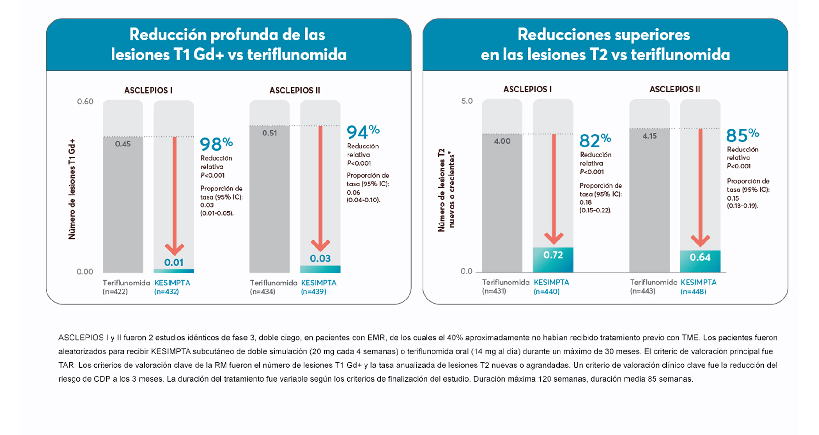 image 12.png image 12.png