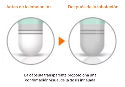Cápsula Transparente