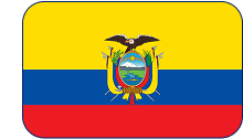 bandera bandera