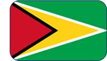 bandera bandera