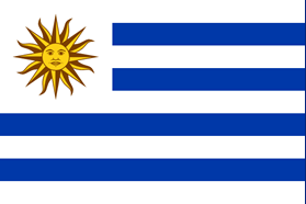 uy-flg uy-flag
