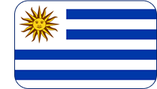 bandera bandera