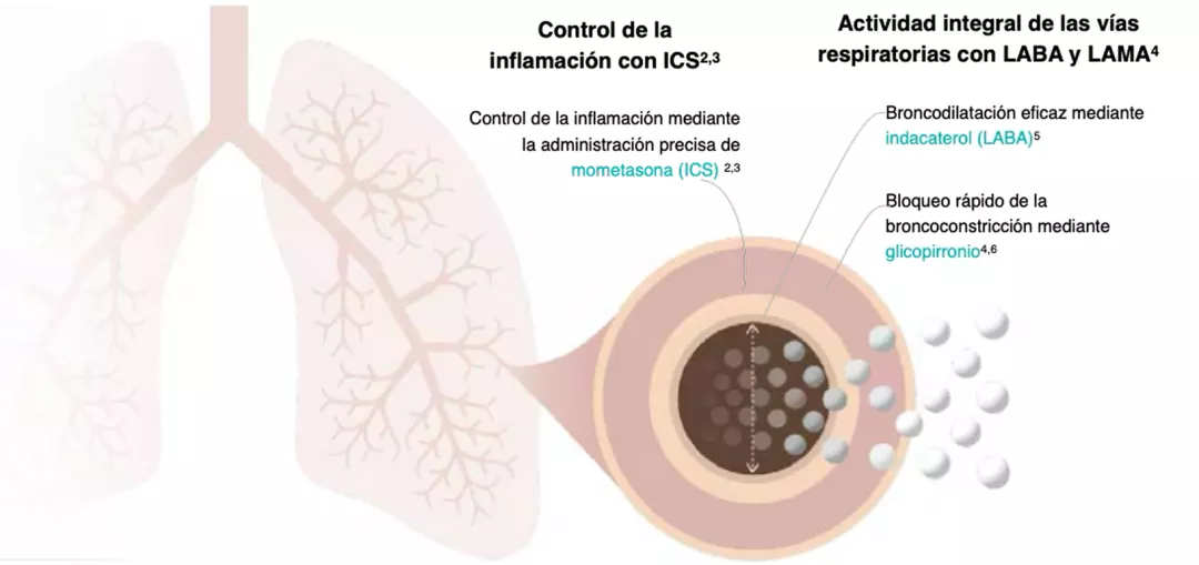 Enerzair® Breezhaler®: mecanismo de acción