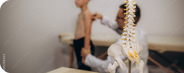 Médico examinando niño con modelo vertebral Médico examinando niño con modelo vertebral