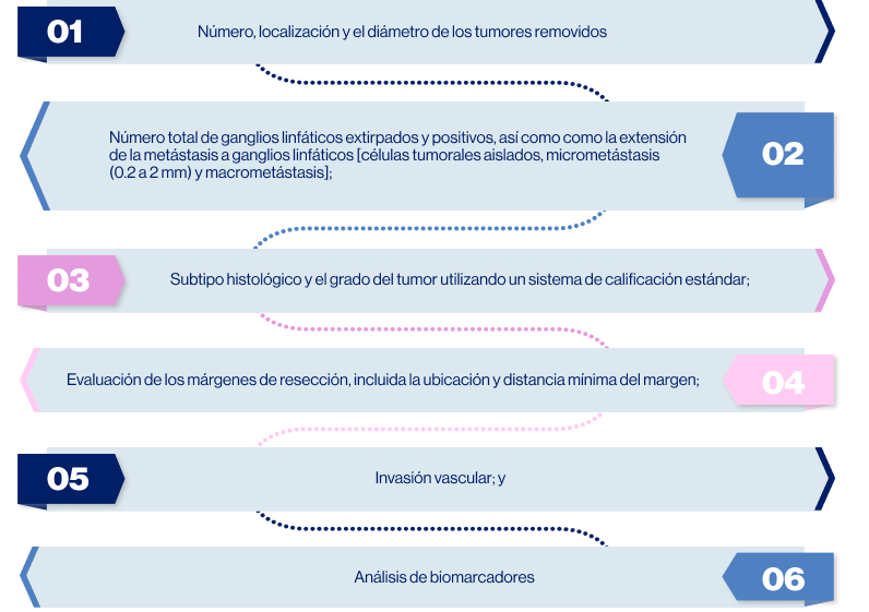 grafico_evaluación_del_tumor grafico_evaluación_del_tumor