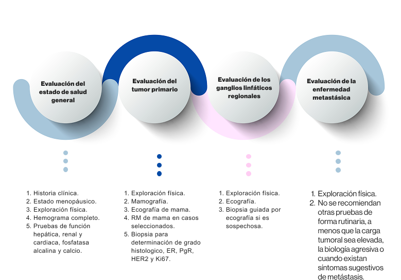 guia_diagnostico_cacer_de_mama guia_diagnostico_cacer_de_mama