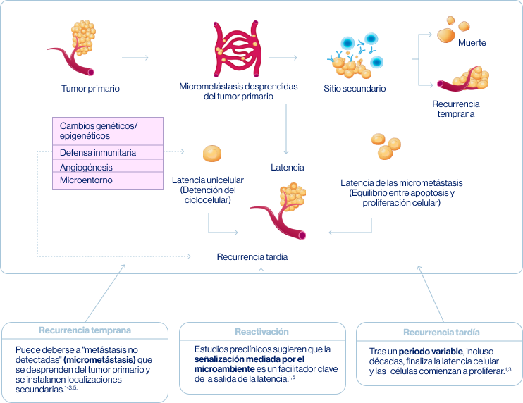 mecanismo_de_recurrencia_y_reactivacion_celular