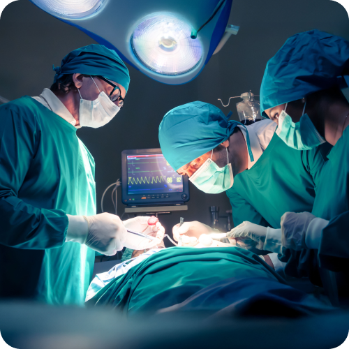 Banner_Mobile_Home Trasplantes Banner_Mobile_Home Trasplantes