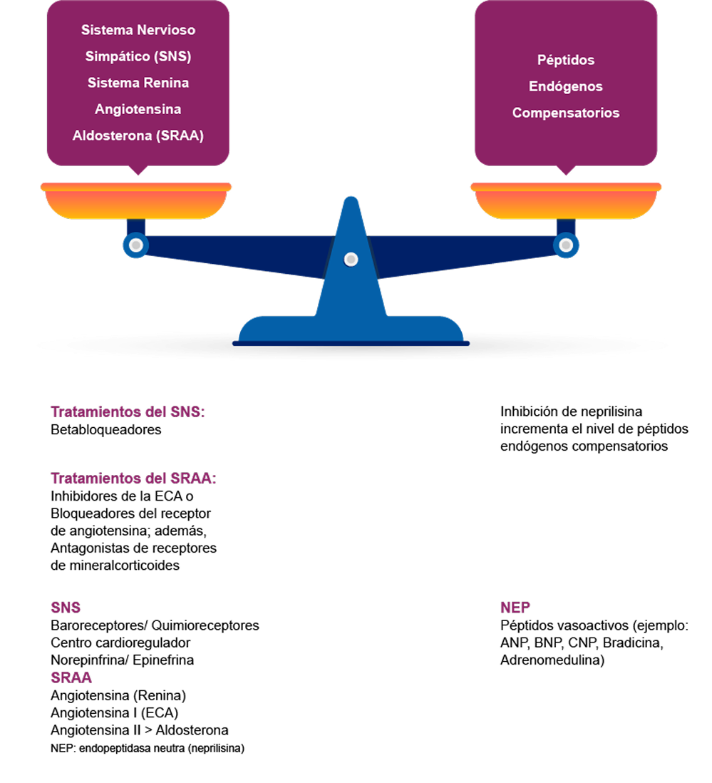 Infografia Insuficiencia Cardíaca Infografia Insuficiencia Cardíaca