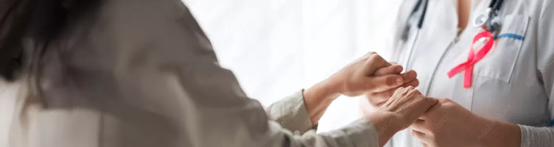 banner_conoce_los_estudios_de_natalee