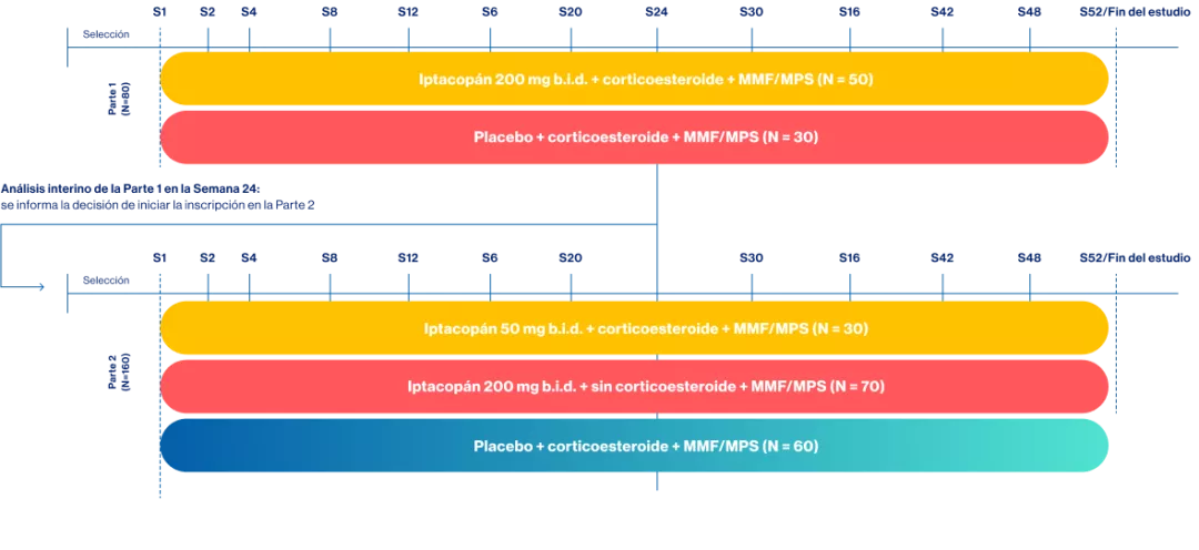 grafica_analisis_diseno_estudio