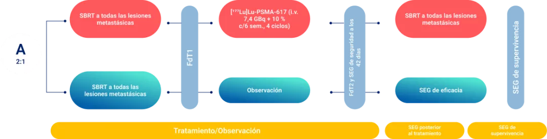 grafica_diseno_del_estudio_450