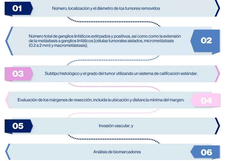 grafico_evaluación_del_tumor