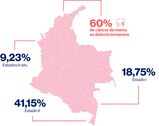 mapa_datos_cancer_de_mama