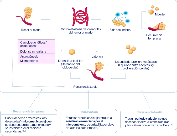 mecanismo_de_recurrencia_y_reactivacion_celular