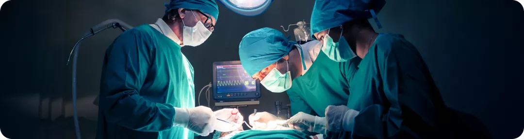 banner_portafolio_transplantes