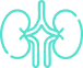 icono_transplante_renal