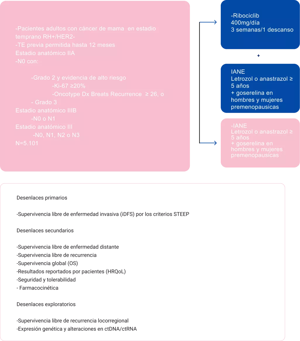 Grafica Diseño del estudio NATALEE