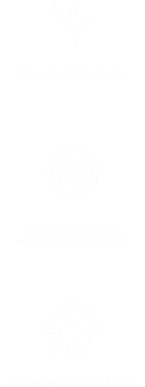 Pronósticos del riesgo de recurrencia mobile