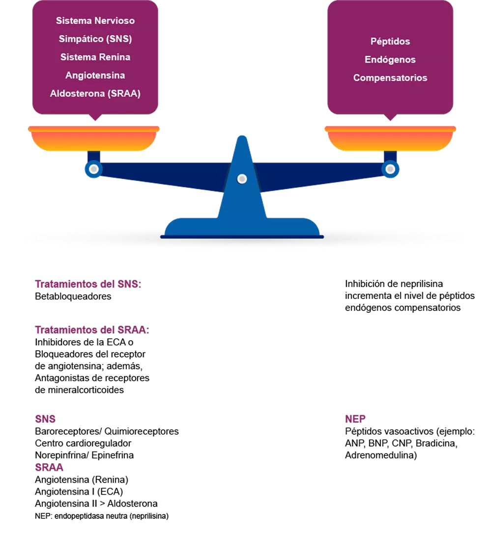 Infografia Insuficiencia Cardíaca