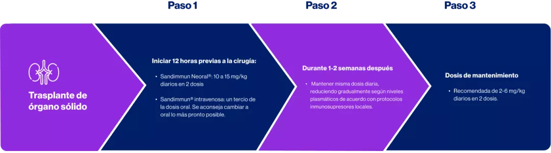 Grafica Dosificación 1 Sandimmun Neoral