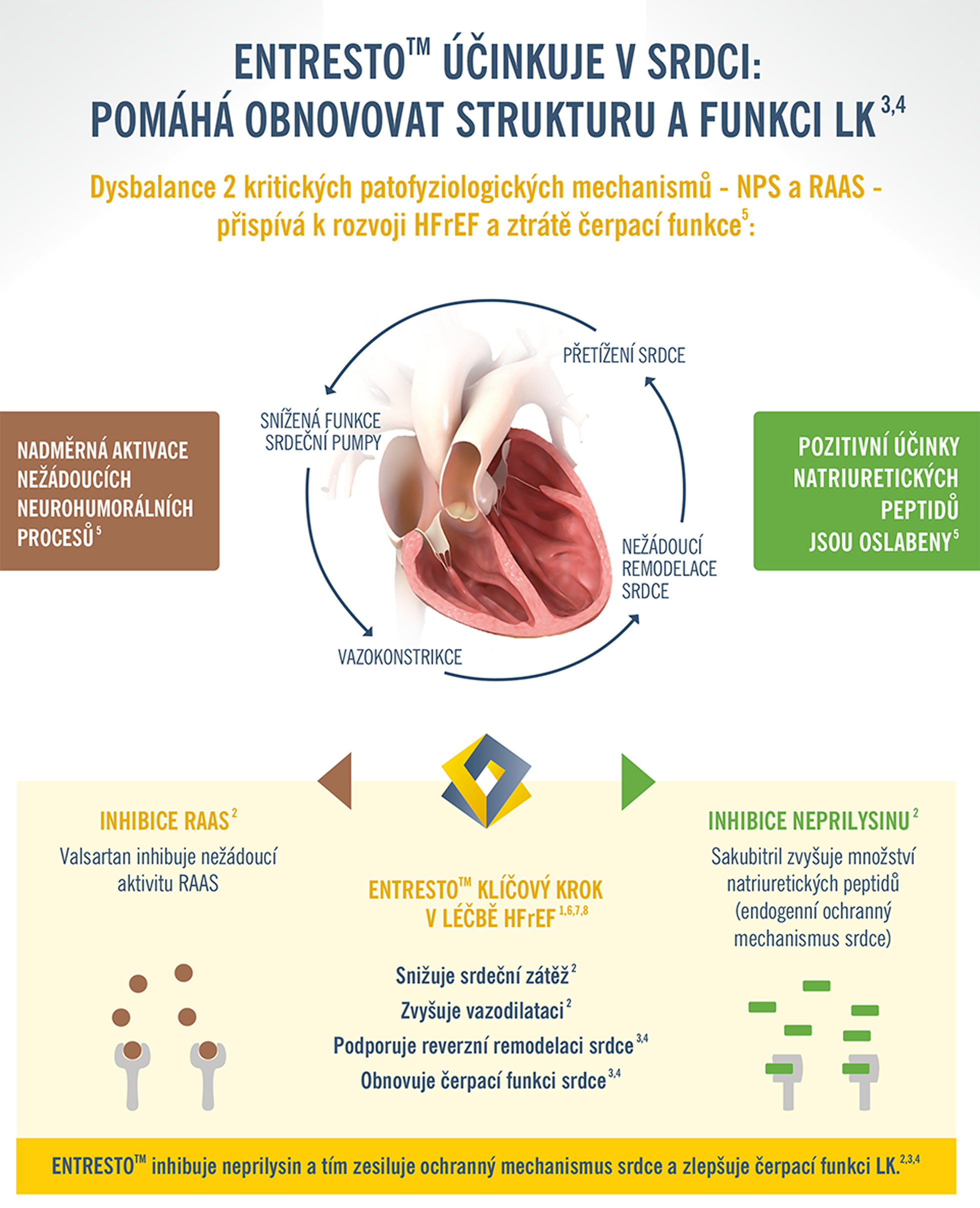 entresto_mechanismus
