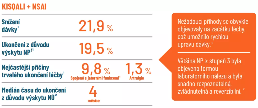 bezpečnostní_profil