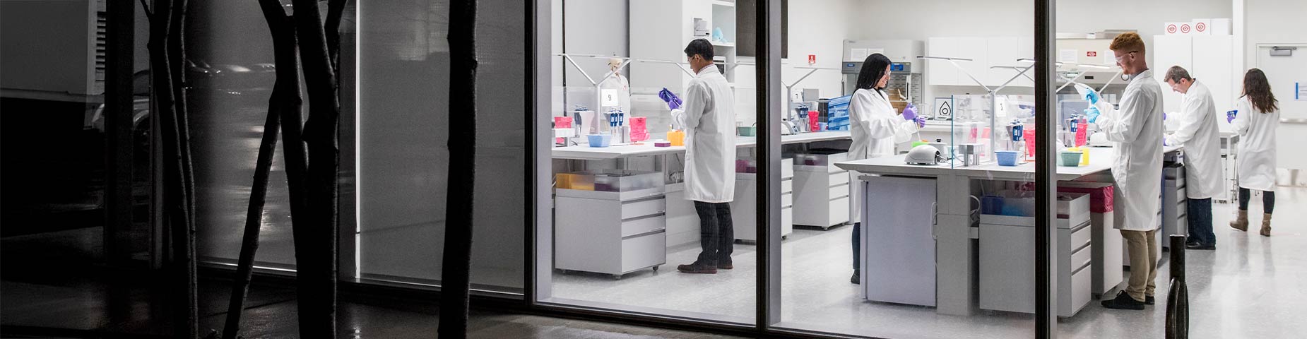Forschung & Entwicklung Einblick in ein Labor von Novartis mit Labormitarbeitenden
