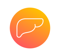 Frame 427318833.png Frame 427318833.png