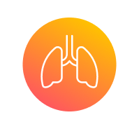 Frame 427318836.png Frame 427318836.png