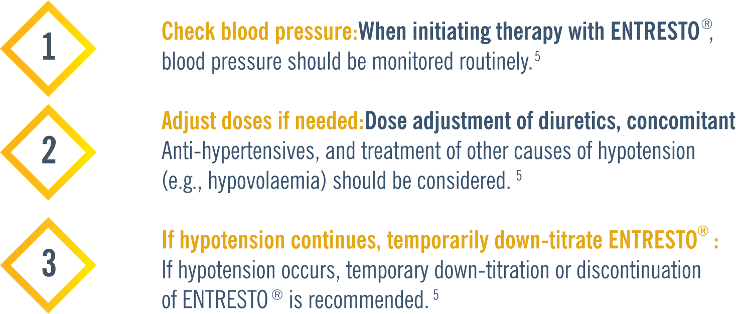 Layer 8.png Layer 8.png