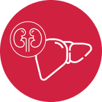 Frame 427318817.png Frame 427318817.png