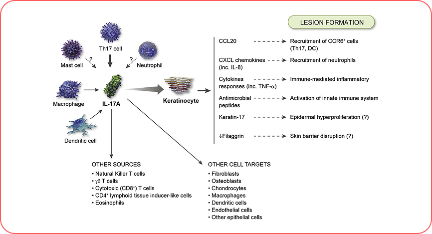 Group 2341.png Group 2341.png