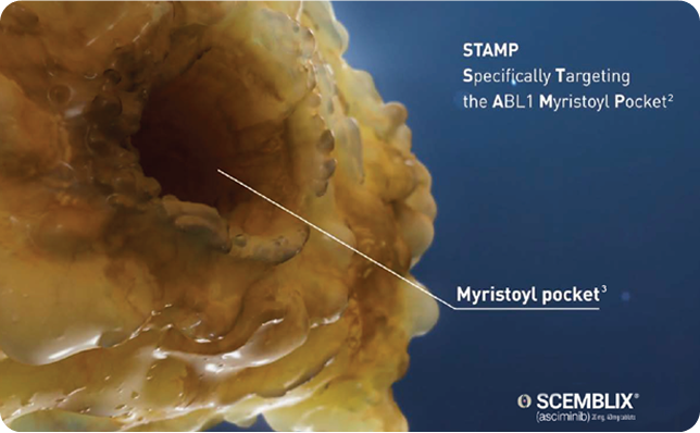 Group 2366.png Group 2366.png