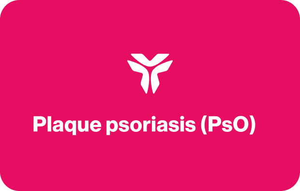 Frame 427318556.png Frame 427318556.png