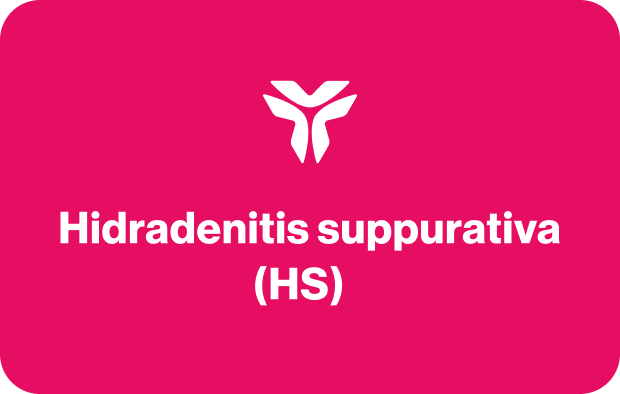 Frame 427318558.png Frame 427318558.png