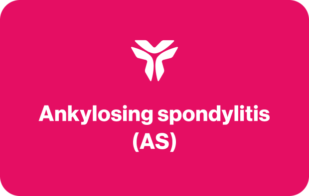 Frame 427318561.png Frame 427318561.png