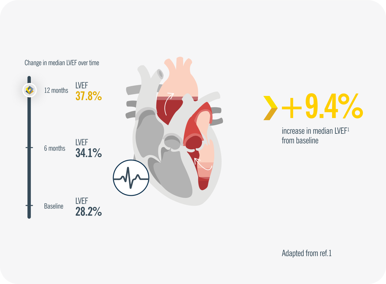 Group 24555.png Group 24555.png