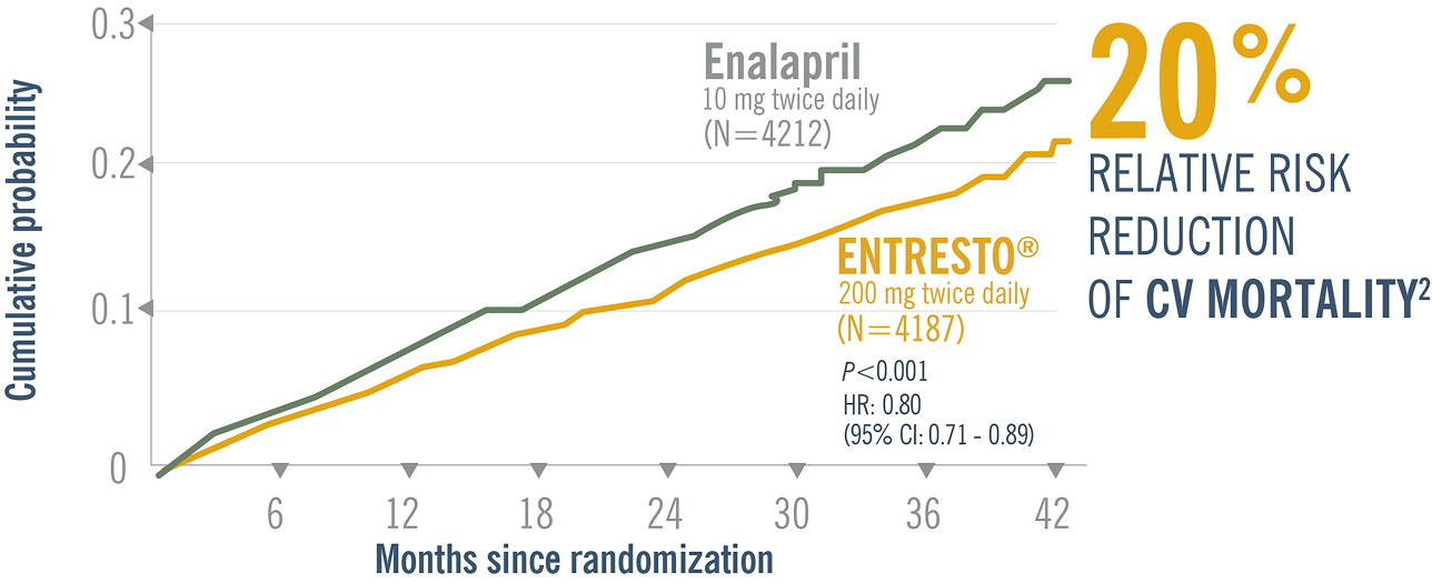 image 16.png image 16.png