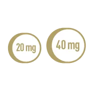 Frame 4273188483.png