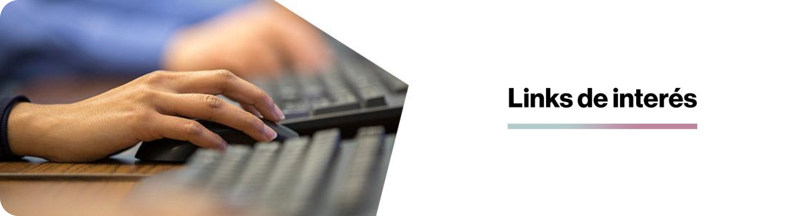 banner banner