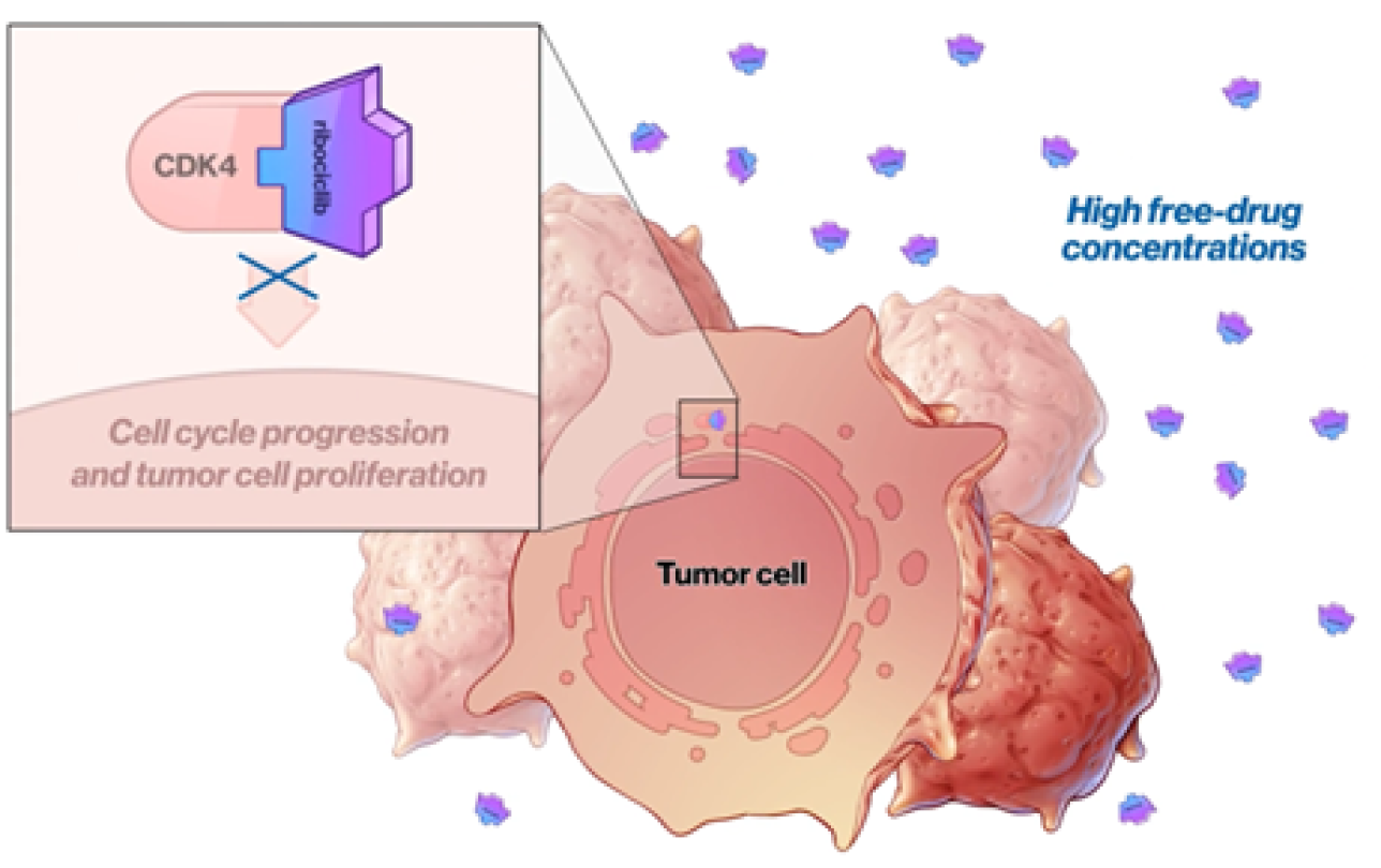 Tumor cell Tumor cell
