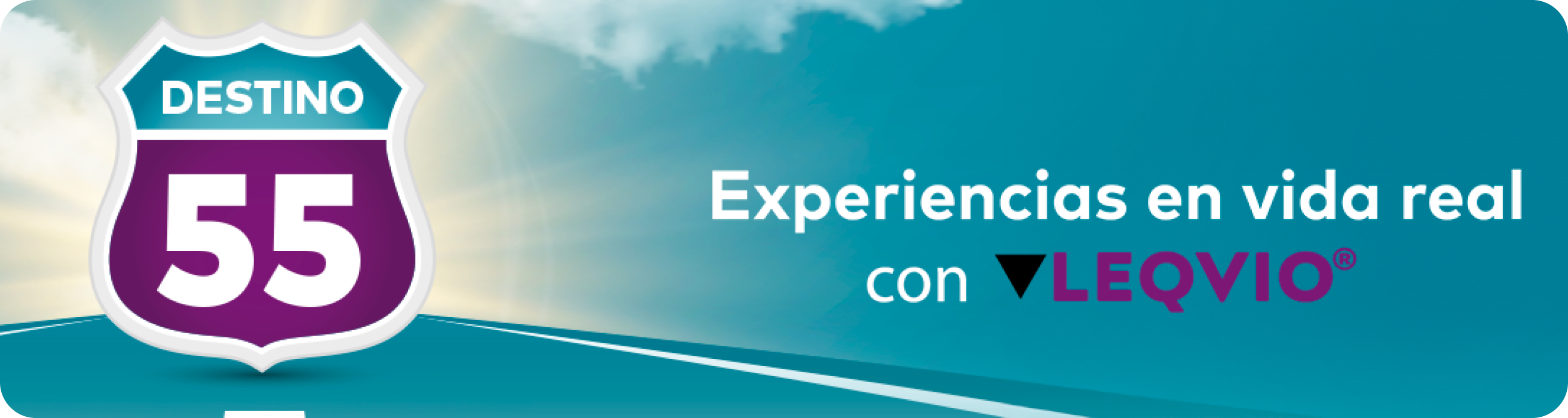 banner banner