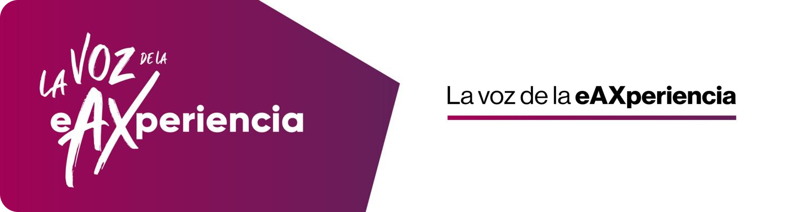 banner banner