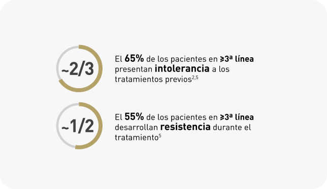infografía infografía